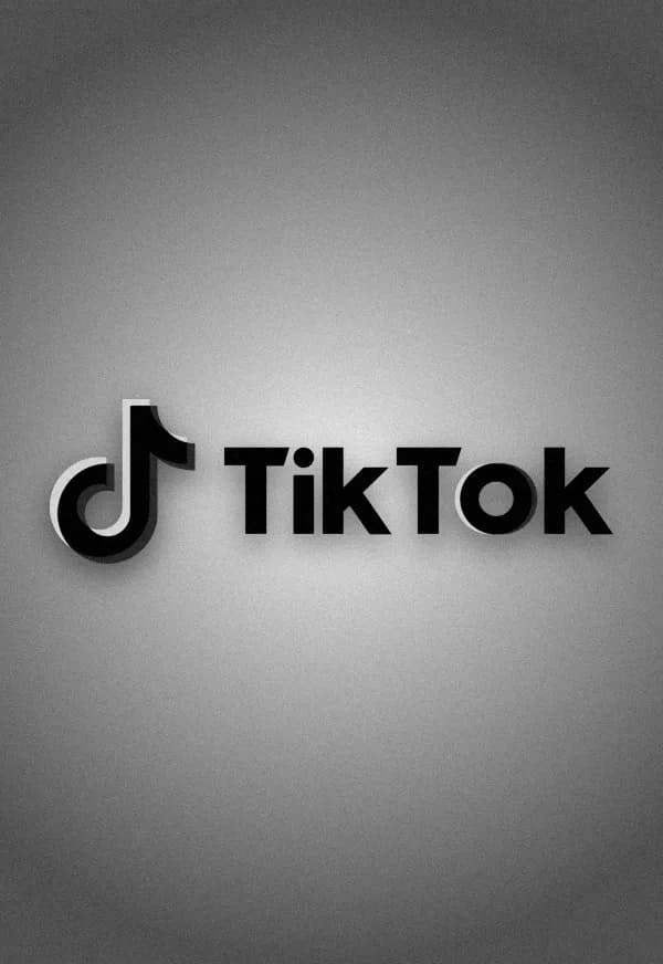 Funeral portrait of TikTok (India)