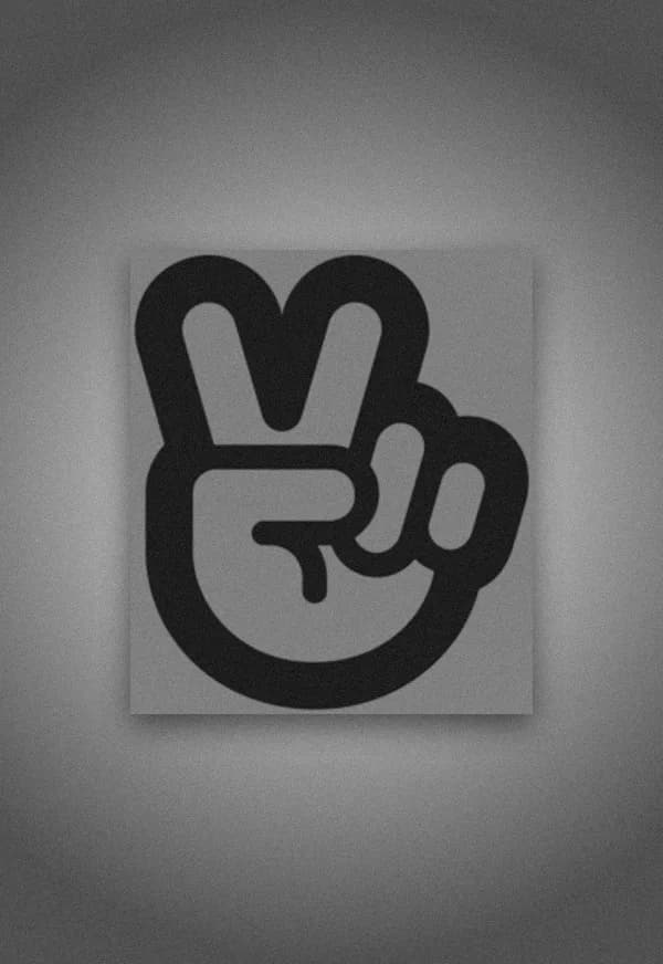 Funeral portrait of V LIVE