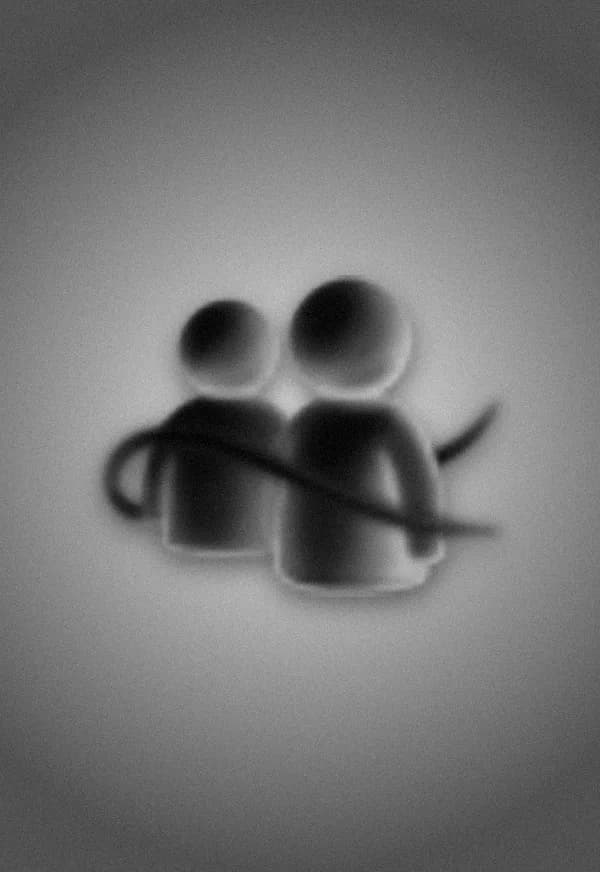 Funeral portrait of Windows Live Messenger
